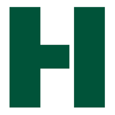 Holistic Logo